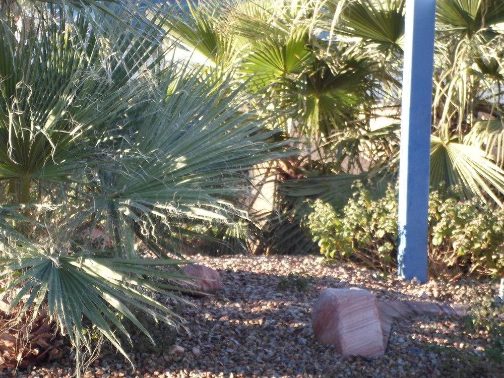 Howard Johnson By Wyndham Las Vegas Near The Strip Kültér fotó